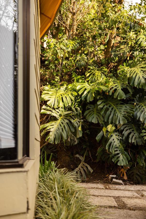 Gamai Monteverde Tiny House Exteriör bild